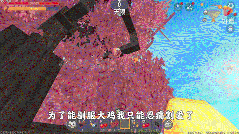 迷你世界飞鸡怎么繁殖[图2]