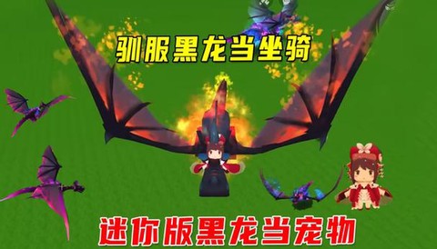 迷你世界怎么训服黑龙[图1]