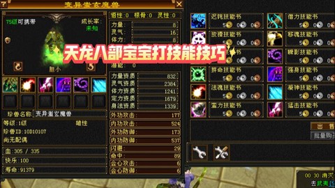 天龙八部如何打宝宝技能[图1]