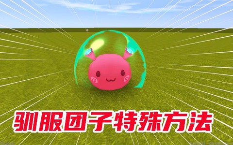 迷你世界怎么顺服团子[图2]