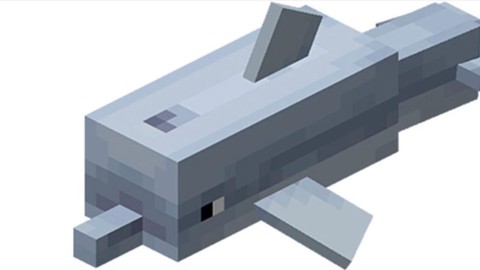 我的世界如何驯服海豚[图1]