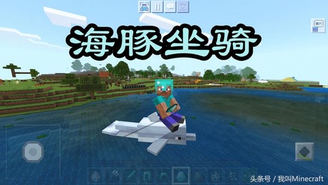 我的世界如何驯服海豚[图2]