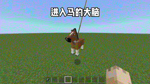 我的世界怎么做马蛋[图2]