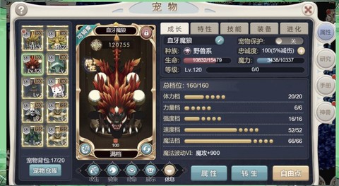 魔力宝贝宠物怎么得[图2]