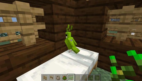 我的世界鹦鹉怎么繁殖[图2]