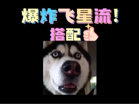 天天酷跑飞星是什么[图1]