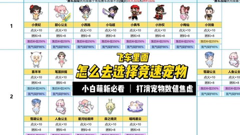 qq飞车宠物怎么得经验[图2]