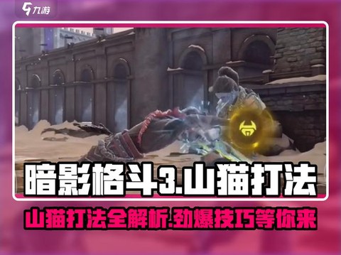 暗影格斗山猫怎么打[图2]